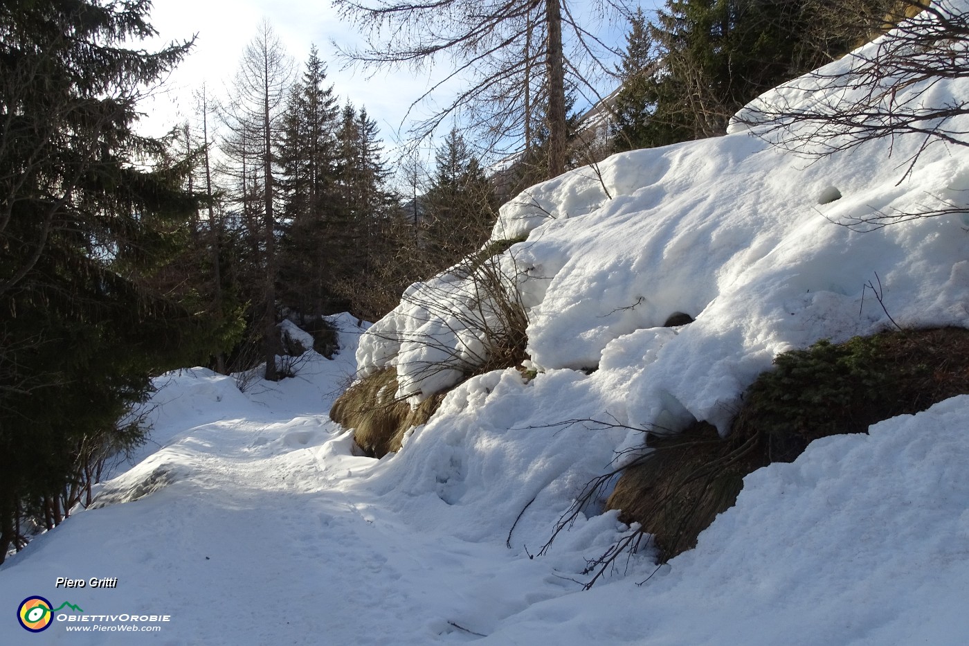 87 Cammino bene su neve un po' rammollita.JPG
